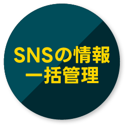 SNS一括
